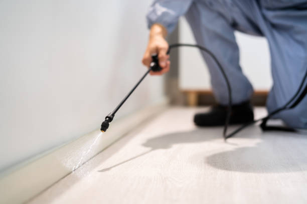 Licensed Pest Control service in Carbon Hill, AL - Show Me Pest Control
